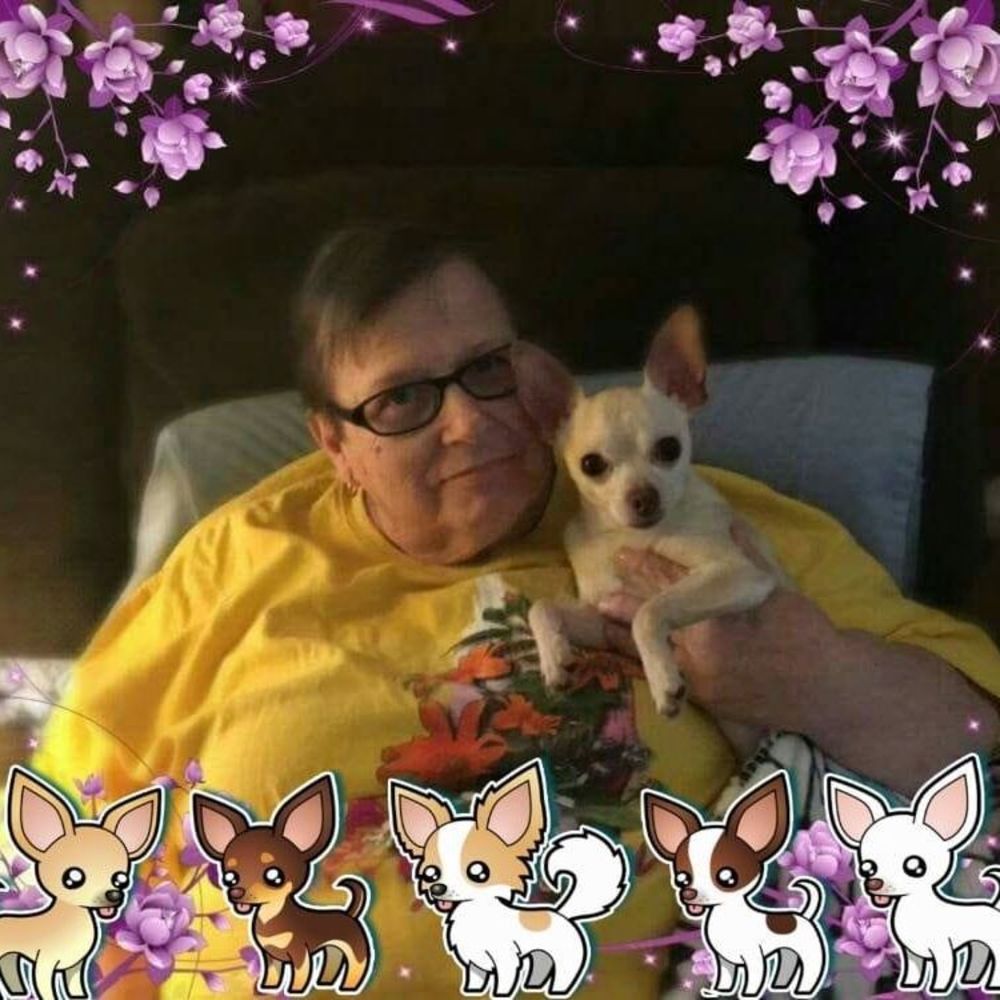 Meet your Posher, Linda